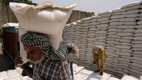 Giá gạo Ấn Độ chạm mức thấp nhất 5 năm trở lại đây