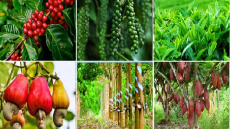 Kết nối giao thương, thúc đẩy cung - cầu sản phẩm thế mạnh của khu vực Tây Nguyên