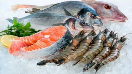 Những quy định chung đối với thủy sản nhập khẩu vào thị trường Bắc Âu