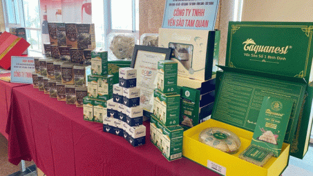 Hơn 30 tỉnh thành tham gia chuỗi sự kiện Kết nối cung cầu hàng Việt Nam tại tỉnh Bình Định