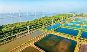 Tầm quan trọng của quy hoạch chiến lược ứng phó với biến đổi khí hậu tại Việt Nam