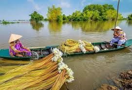 Những vấn đề đặt ra cho phát triển kinh tế đường sông ở Đồng bằng sông Cửu Long