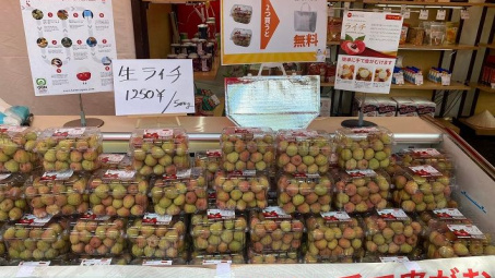 Trái vải tươi lần đầu xuất hiện tại Lễ hội Việt Nam tại Tokyo, Nhật Bản