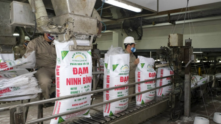 Nghiên cứu, trình Chính phủ phương án thuế xuất khẩu phù hợp cho phân bón