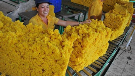 Việt Nam là thị trường cung cấp cao su lớn thứ 2 cho Trung Quốc