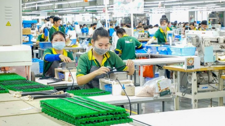 Vấn đề bảo hộ quyền sở hữu công nghiệp đối với nhãn hiệu hàng hóa của doanh nghiệp từ thực tiễn tỉnh Bình Dương