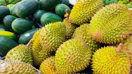 Mở đầu ra bền vững cho sầu riêng tươi tại thị trường Trung Quốc