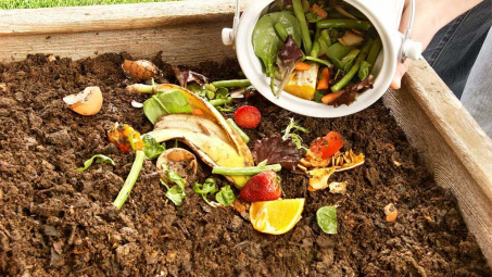 Công nghệ xử lý chất thải rắn hữu cơ thích ứng với biến đổi khí hậu