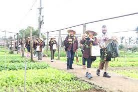 Phát triển du lịch xanh trong bối cảnh tăng trưởng xanh của ngành Du lịch tỉnh Quảng Ngãi