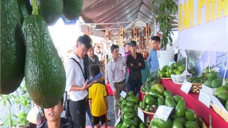 Đào tạo thực chiến Chương trình “Bệ phóng Thương mại điện tử Tây Nguyên”