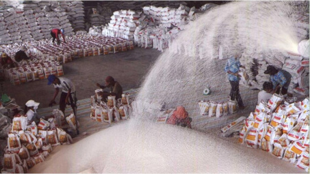 Bảo đảm vững chắc an ninh lương thực quốc gia 6 tháng cuối năm 2022