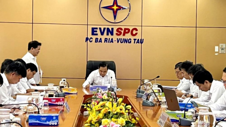 Điện lực Bà Rịa - Vũng Tàu: Dự kiến lắp đặt 100% công tơ đo xa vào cuối năm 2022