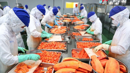 Việt Nam phấn đấu vào top 10 trung tâm chế biến nông sản thế giới