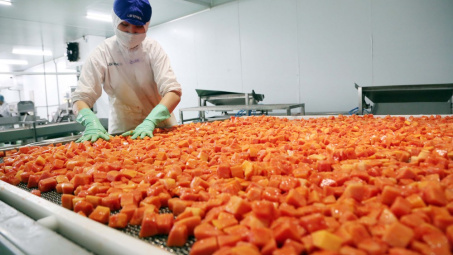 Xây dựng mô hình đánh giá hiệu suất năng lực kinh doanh thương mại của doanh nghiệp xuất khẩu nông phẩm