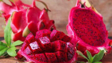 Giải pháp phát triển bền vững vùng sản xuất thanh long tỉnh Trà Vinh