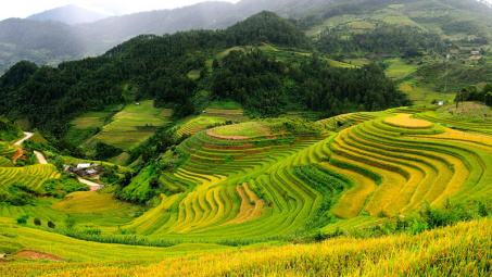 Phân bón Văn Điển: "Khoác áo mới" cho nông sản miền núi phía Bắc