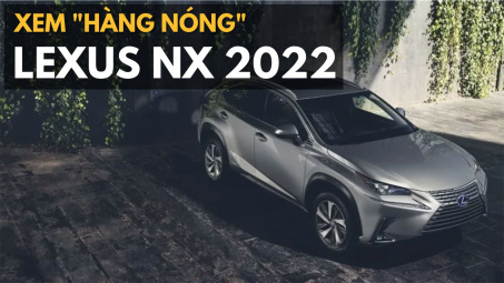 Lexus NX2022 ra mắt: Rất nhiều điểm mới