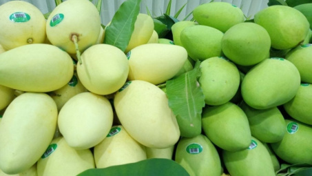 “Xoài nào ngon bằng xoài Cao Lãnh”