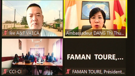 Kết nối trực tuyến  kinh doanh Việt Nam - Bờ Biển Ngà