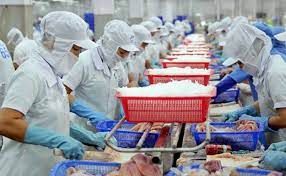 Ảnh hưởng của chiến sự Liên bang Nga - Ukraine đến xuất khẩu thủy sản của các công ty chế biến xuất khẩu thủy sản Việt Nam