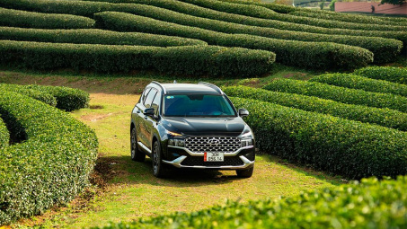 Accent đứng top, Hyundai TC có tháng doanh số tăng vọt