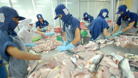 Dự báo xuất khẩu cá tra sang EU tiếp tục tăng trưởng cao