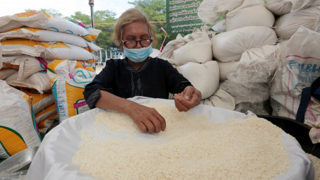 Giá gạo châu Á diễn biến trái chiều, gạo Việt Nam chịu sức ép cạnh tranh