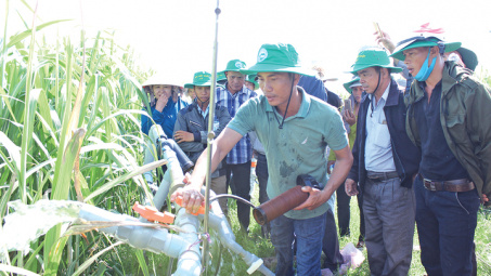 Thành Thành Công Gia Lai: Gia tăng giá trị cây mía nhờ công nghệ