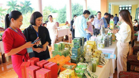 Chương trình khuyến công quốc gia hỗ trợ phát triển bền vững chương trình OCOP