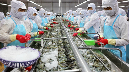 Thủy sản Minh Phú (MPC): Chi phí tài chính tăng gấp 7 lần “bào mòn” lợi nhuận