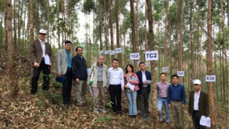Nghiên cứu chọn tạo giống Bạch đàn năng suất cao phục vụ ngành công nghiệp giấy