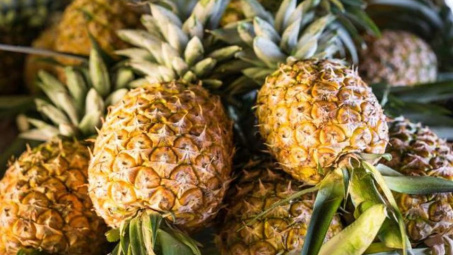 Nhiều triển vọng cho xuất khẩu sản phẩm dứa vào thị trường Châu Âu