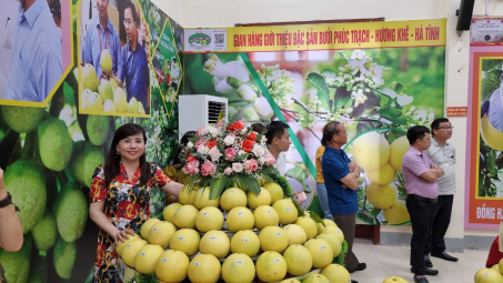 Kết nối tiêu thụ bưởi Phúc Trạch qua kênh thương mại điện tử