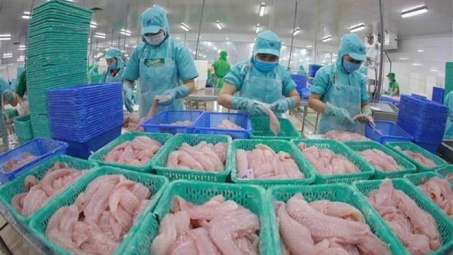 Xuất khẩu cá tra: Sức hút lớn từ thị trường CPTPP