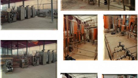 Thử nghiệm sản xuất trà và bột dinh dưỡng từ Táo mèo và Chùm ngây với việc ứng dụng công nghệ sấy bằng hồng ngoại