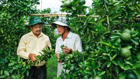 Huyện Bắc Tân Uyên (Bình Dương):  Đột phá mới trong phát triển kinh tế - xã hội