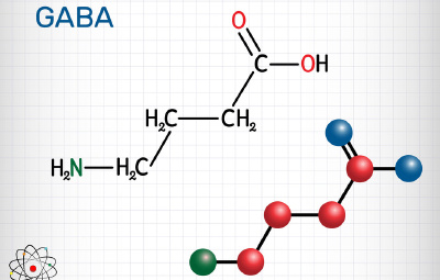 Dự án sản xuất thử nghiệm chế phẩm axit gamma amino butyric (GABA) và thực phẩm chức năng giàu GABA từ gạo lứt, đậu tương