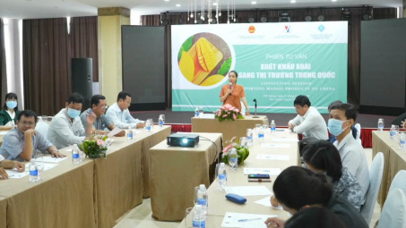 Xuất khẩu xoài sang Trung Quốc: Cần đáp ứng được những yêu cầu, quy định mới