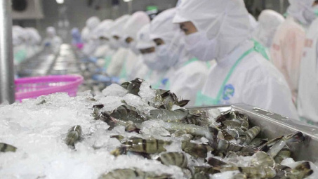 Hoa Kỳ duy trì lệnh áp thuế chống bán phá giá với tôm nước ấm Việt Nam