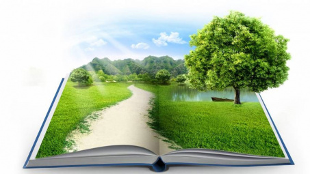 Tích hợp kế toán môi trường trong vai trò công cụ quản lý môi trường ở các công ty xây dựng tại Việt Nam