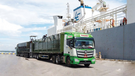 THILOGI cung ứng dịch vụ vận chuyển gia súc chuyên nghiệp