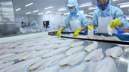Giá cá tra đông lạnh Việt Nam nhập khẩu vào Mỹ tăng 56%