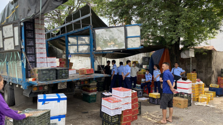Thái Nguyên thu giữ 292 kg trái cây tươi không rõ nguồn gốc xuất xứ
