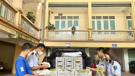 Thái Nguyên: Tiêu hủy 2 tấn trái cây tươi không rõ nguồn gốc, xuất xứ