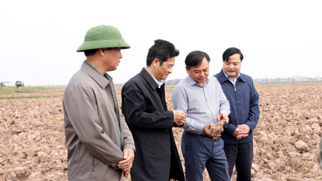 Tập đoàn Điện lực Việt Nam đang thực hiện rất tốt việc cấp nước phục vụ sản xuất vụ Đông Xuân năm 2022-2023