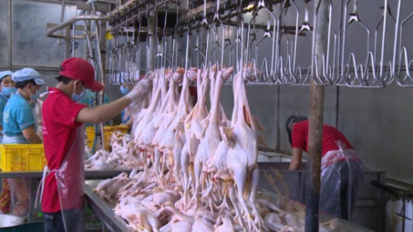 Tăng cường quản lý, kiểm soát giết mổ động vật bảo đảm an toàn dịch bệnh, an toàn thực phẩm