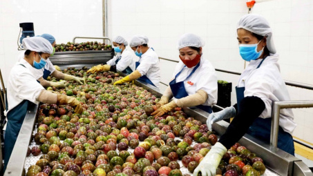 Chuyện của người đi đầu