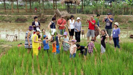 Tiềm năng phát triển du lịch nông thôn tại tỉnh An Giang