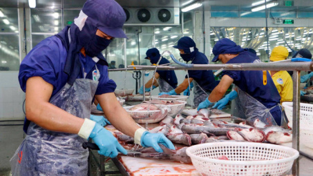 Nam Việt: Lợi nhuận sau thuế năm 2022 tăng hơn 4 lần