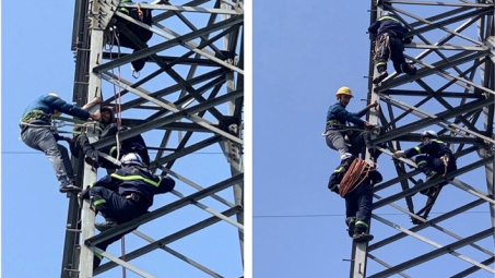Giải cứu người phụ nữ trèo lên cột điện đường dây 220kV Hòa Bình - Hà Đông 3